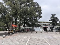 -南山植物园