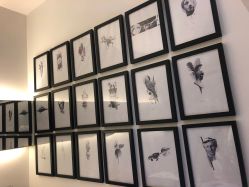 -飛凡TATTOO纹身•原创