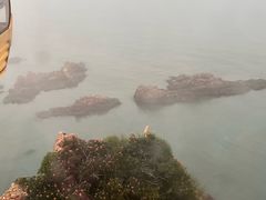 -摩天岭风景区