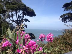 -阿尔卡特拉斯岛