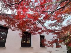 -无锡丽笙精选酒店