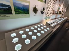 -中国茶叶博物馆(双峰馆区)