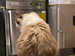 -咖法森林·咖啡  酒吧(天河店)