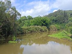 -南宁良凤江国家森林公园