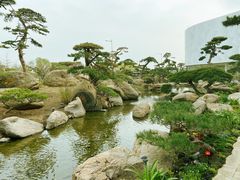 -罗红摄影艺术馆