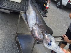 海猎号深海拖钓-海猎号深海拖钓