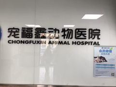 -宠福鑫动物医院(城北分院)