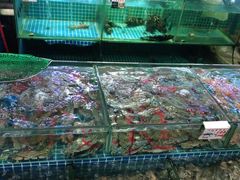 水产区-叶姐海鲜(棋子湾店)
