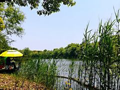 -梁鸿国家湿地公园