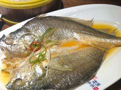 -南拳十三姨·潮汕砂锅粥(世纪金源店)