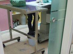 -亚宠动物医院·芭比堂宠物医院(盘龙店)