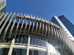 -枫蓝国际购物中心-地面停车场