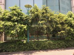 -七彩阳光游泳俱乐部(江北远洲店)