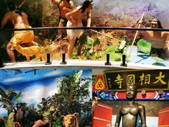 -广东中医药博物馆