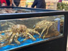 水产区-盒马鲜生(宝地店)