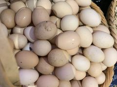 -老阿爸江浙土菜(奥体中心店)