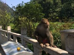 -黔灵山公园-南门售票处