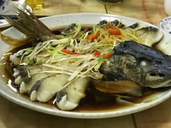 -煲来饱去冷水鱼