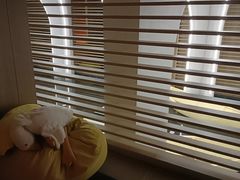 -涨巢·潮玩水疗局