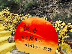 -桑干河大峡谷旅游区