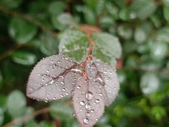 -南京市江宁方山
