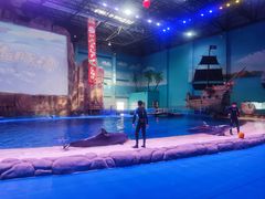 -华夏文旅海洋公园