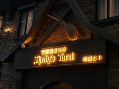 -雪灵魔法世界SHELLY’S TAROT(大良桂畔里店)