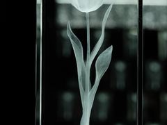 -时代美术馆-成都馆