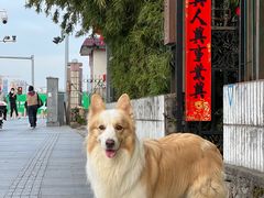 -豆舞咖啡(民乐路店)