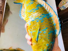 -蓝湾碧波·老字号·疍家非遗海上餐厅