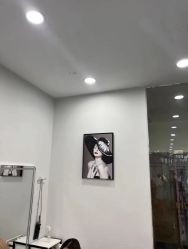 -藤野造型