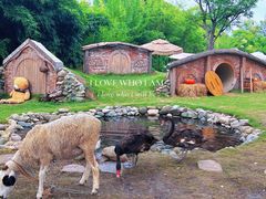 -HERRE·FARM 赫尔露营农场·团建聚会包场