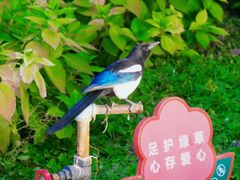 -莲花池公园