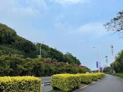 -演武大桥观景平台