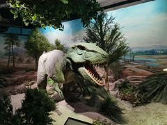 -国家自然博物馆