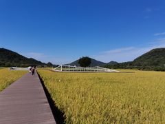 -风云岭森林公园