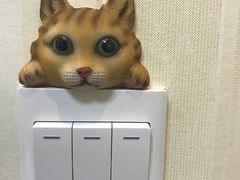 -宠爱国际动物医院· 猫科· 外科·中兽医(长白店)