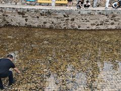 -黄陂区野村谷景区