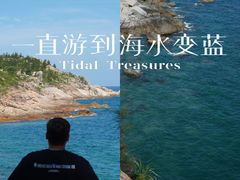 -广东惠东海龟国家级自然保护区