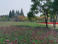 -杭州城北体育公园