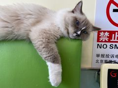 -美迦爱-牙专科·兔科·骨科诊疗中心(北苑店)