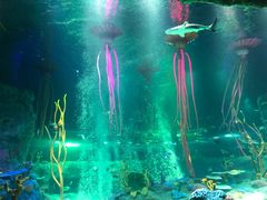 -沈阳海洋探索中心