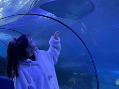 -左海海底世界