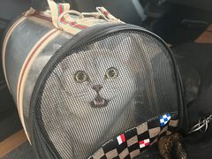 -狗不理喵子(百富路店)