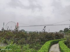 -花博汇(知音花月夜)