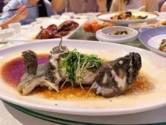 清蒸海石斑-金翠皇宫粤菜·点心·海鲜(翡翠店)