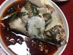 -老杨砂锅鱼庄