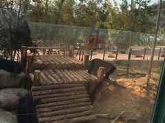 -泉州海丝野生动物世界