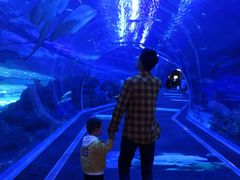 -成都浩海立方海洋公园