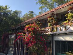 -深圳仙湖植物园